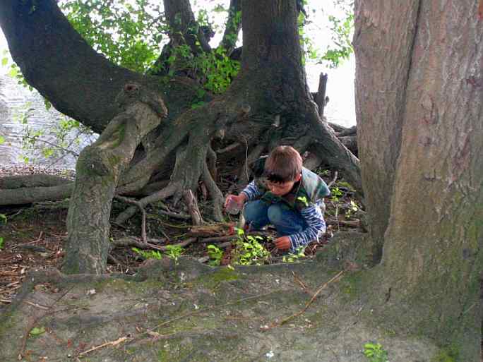 Junge entdeckt etwas auf dem Waldboden