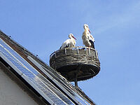 Johannes und Paula auf dem Kirchendach